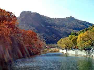 管家婆免费正版资起大全，无锡酒店海鲜沲